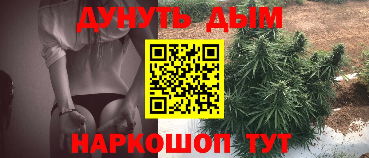МАРИХУАНА VHQ Курчалой